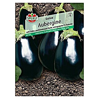 Sperli Gemüsesamen Aubergine Galine (Solanum melongena, Erntezeit: Juli - September)