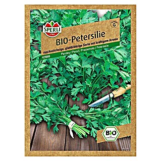 Sperli Kräutersamen Petersilie (Bio Petersilie glatt, Petroselinum crispum, Saatzeit: April, Erntezeit: Ganzjährig)