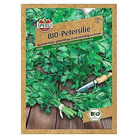 Sperli Kräutersamen Petersilie (Bio Petersilie glatt, Petroselinum crispum, Saatzeit: April, Erntezeit: Ganzjährig)