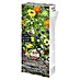 Bloemzadenmix Veelvoudige snacks 