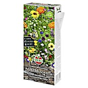 Bloemzadenmix Veelvoudige snacks (Verschillende soorten, Verschillende kleuren, 30 m²) | BAUHAUS