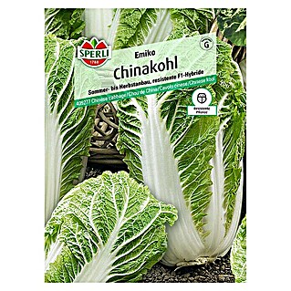 Sperli Gemüsesamen Chinakohl Emiko (Brassica rapa var. pekinensis, Erntezeit: Juli)