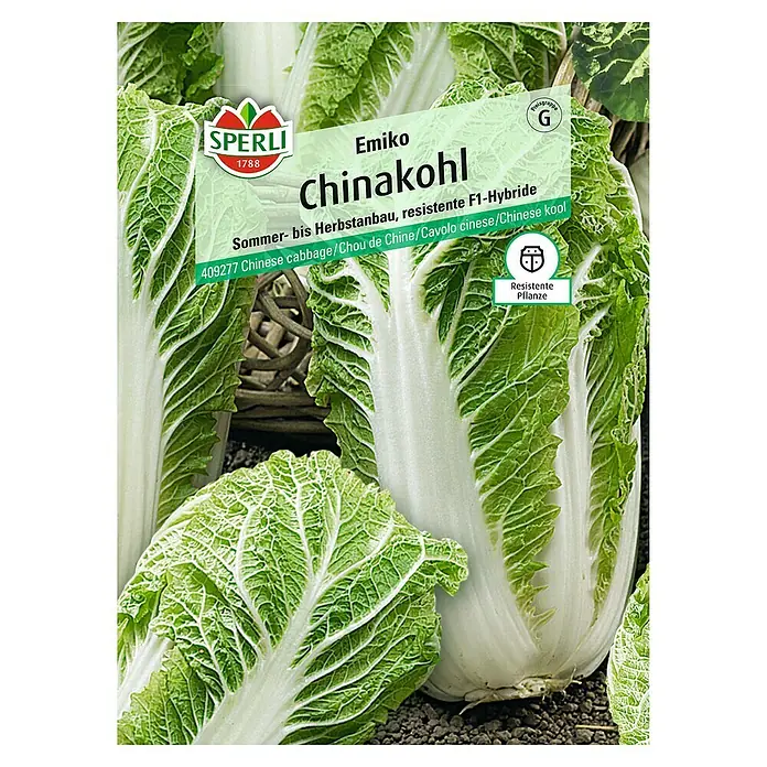 Sperli Gemüsesamen Chinakohl Emiko - Brassica rapa var. pekinensis, Erntezeit: Juli - Chinakohl 'Emiko' Samen von Sperli für den Sommer- bis Herbstanbau. Resistent und ideal für den Anbau im Garten.