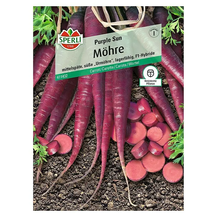 Sperli Gemüsesamen Möhre Purple Sun - Purple Sun, Daucus carota, Erntezeit: August - Samentüte für "Purple Sun" Möhren, eine mittelfrühe, süße und lagerfähige F1-Hybride. Die Karotten sind lila und widerstandsfähig.