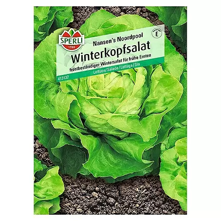 Sperli  Salatsamen Winterkopfsalat