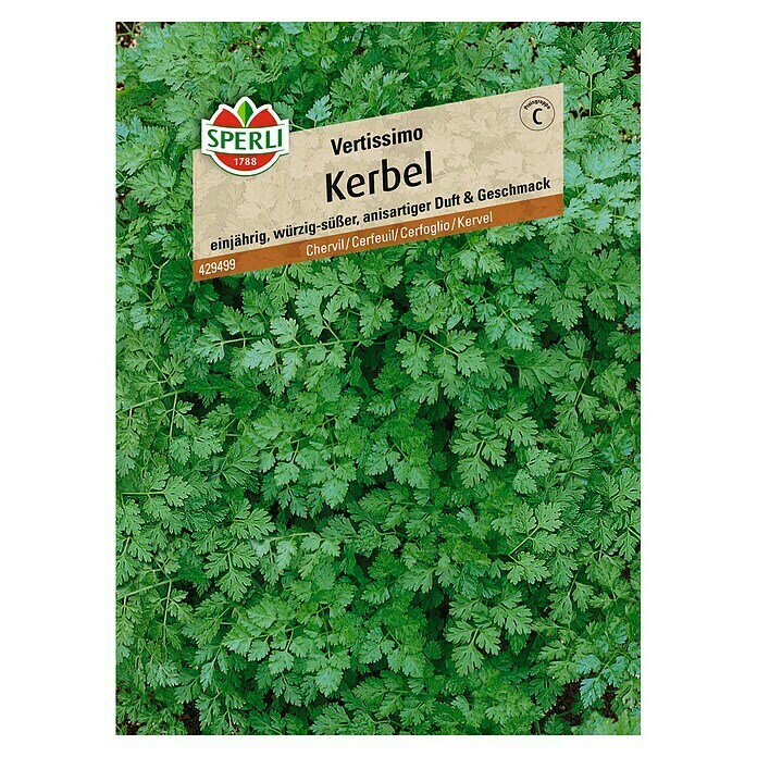 Sperli Kräutersamen Kerbel Vertissimo (Anthriscus cerefolium, Saatzeit: März, Erntezeit: Mai) | BAUHAUS