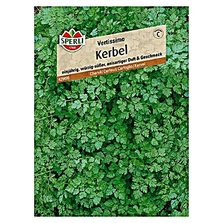 Sperli Kräutersamen Kerbel Vertissimo (Anthriscus cerefolium, Saatzeit: März, Erntezeit: Mai)