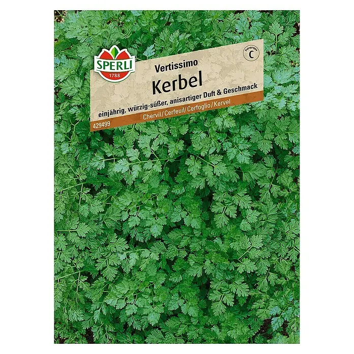 Sperli Kräutersamen Kerbel Vertissimo - Anthriscus cerefolium, Saatzeit: März, Erntezeit: Mai - Abbildung der Vertissimo Kerbel-Saatpackung von Sperli. Einjährig, würzig-süß, anisartiger Duft & Geschmack. Ideal für Kräutergärten.