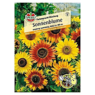 Sperli Blumensamen Sonnenblume (Farbenpracht Mix, Helianthus annuus, Blütezeit: August)
