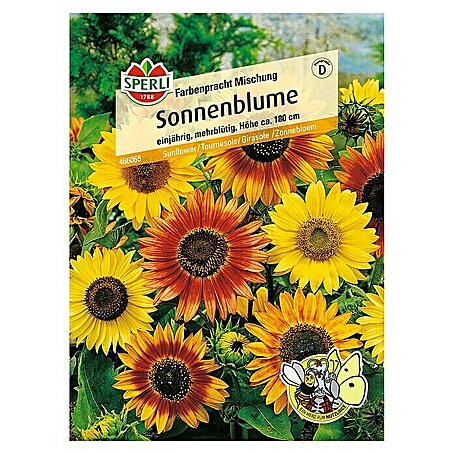 Sperli Blumensamen Sonnenblume (Farbenpracht Mix, Helianthus annuus, Blütezeit: August)