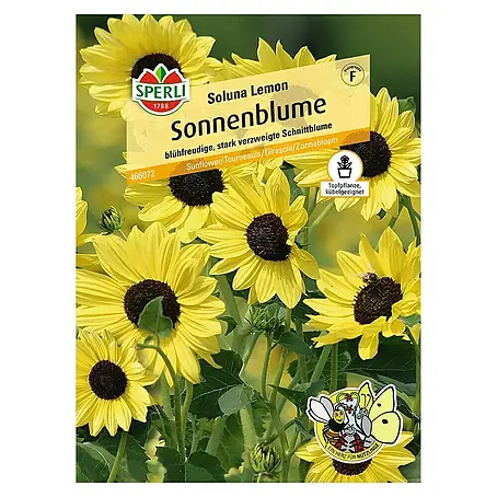 Sperli  Blumensamen Sonnenblume