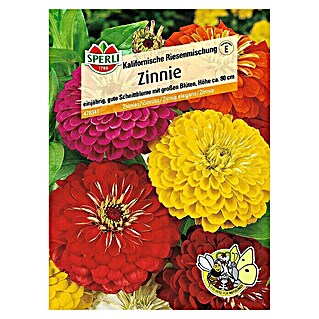 Sperli Blumensamen Zinnie kalifornische Riesen (Zinnia elegans, Mehrfarbig)