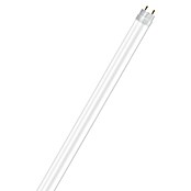 Osram Tubo de LED SubstiTube Value ST8-HV5 (21,5 W, Clase de eficiencia energética: A, Largo: 151,3 mm, Blanco frío, 2.000 lm)