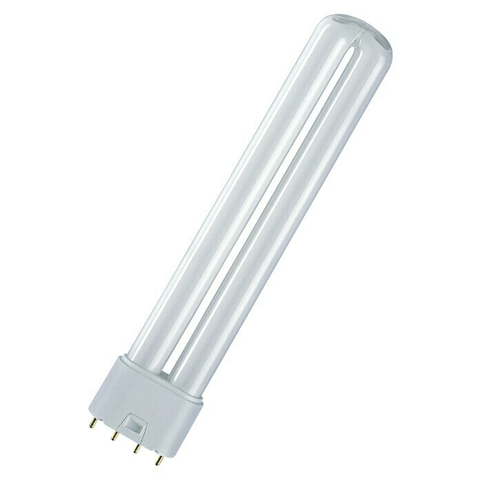 Osram Bombilla de bajo consumo Dulux L Interna (55 W, 2G11, Blanco frío, Clase de eficiencia energética: A+)