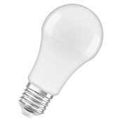 Osram LED svjetiljka (13 W, E27, Hladna bijela, Mat)