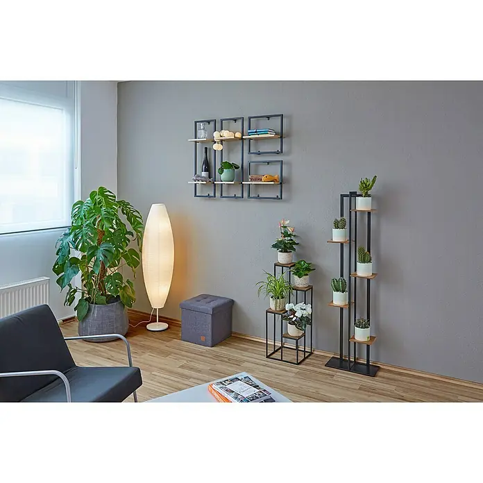 Phönix Wandregal Soho - L x B x H: 20 x 35 x 35 cm, Anzahl Böden: 1 Stk. - Ein Wohnzimmer mit einer Pflanzenleiter und einem kleinen Pflanzenständer. Die dunklen Metallgestelle bieten Platz für viele kleine Pflanzen.