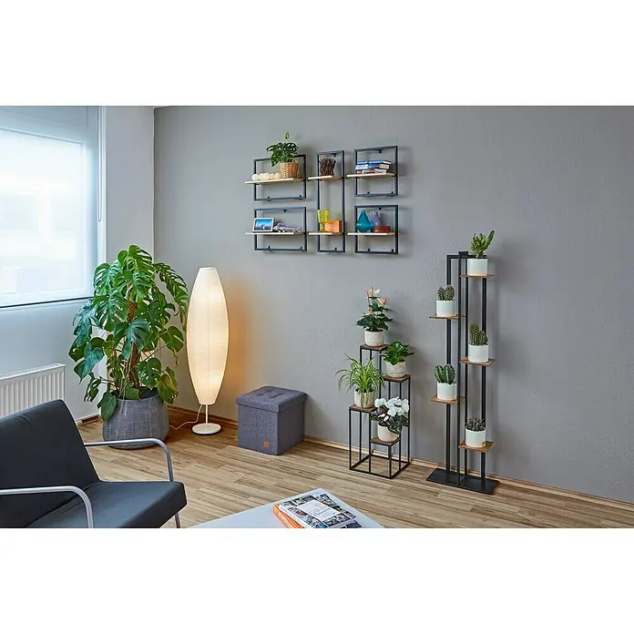 Phönix Wandregal Soho - L x B x H: 20 x 35 x 35 cm, Anzahl Böden: 1 Stk. - Einrichtungsszene mit modernen Regalen, Zimmerpflanzen und einem Stuhl. Das Wandregal und Pflanzenständer aus Metall und Holz setzen Akzente.