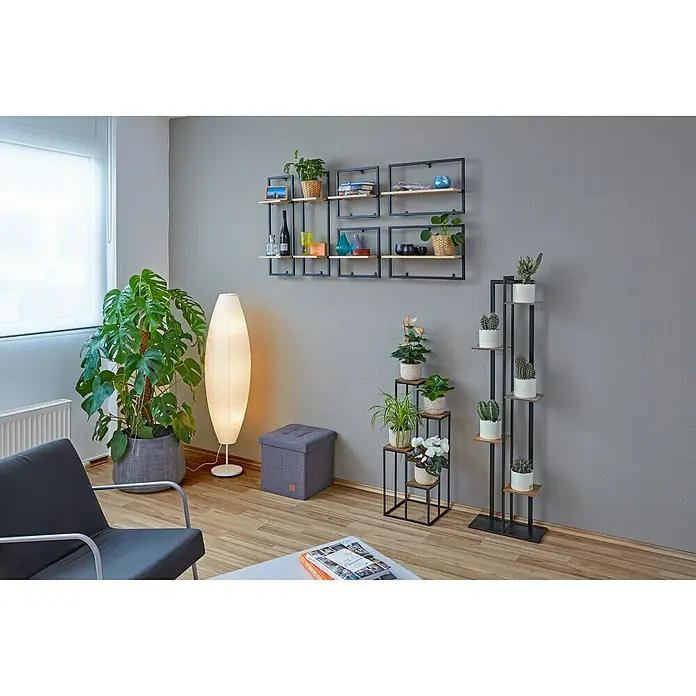 Phönix Wandregal Soho - L x B x H: 20 x 35 x 35 cm, Anzahl Böden: 1 Stk. - Eine moderne Wohnungseinrichtung mit einem modularen Wandregal, einem Pflanzenständer und einer Stehlampe.