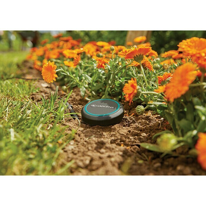 Gardena Sensore di umidità del suolo