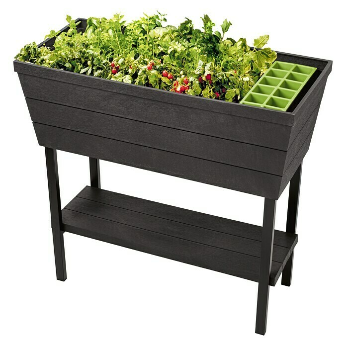 Keter Hochbeet Urban Bloomer82 x 38 cm, Anthrazit Diagonal View