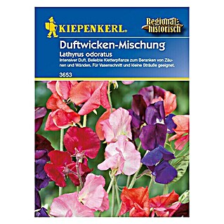 Kiepenkerl Blumensamen Duftwicke (Lathyrus odoratus, Mehrfarbig)