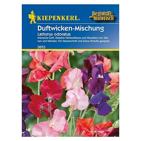 Kiepenkerl  Blumensamen Duftwicken Mix