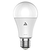 Eglo LED-Lampe (Dimmbar, Warmweiß, 806 lm, 9 W) | BAUHAUS