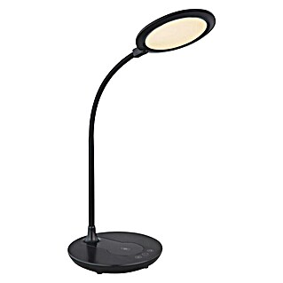 Globo Lámpara de sobremesa LED Regina (6 W, L x An x Al: 33 x 17 x 54 cm, Negro, Blanco cálido)