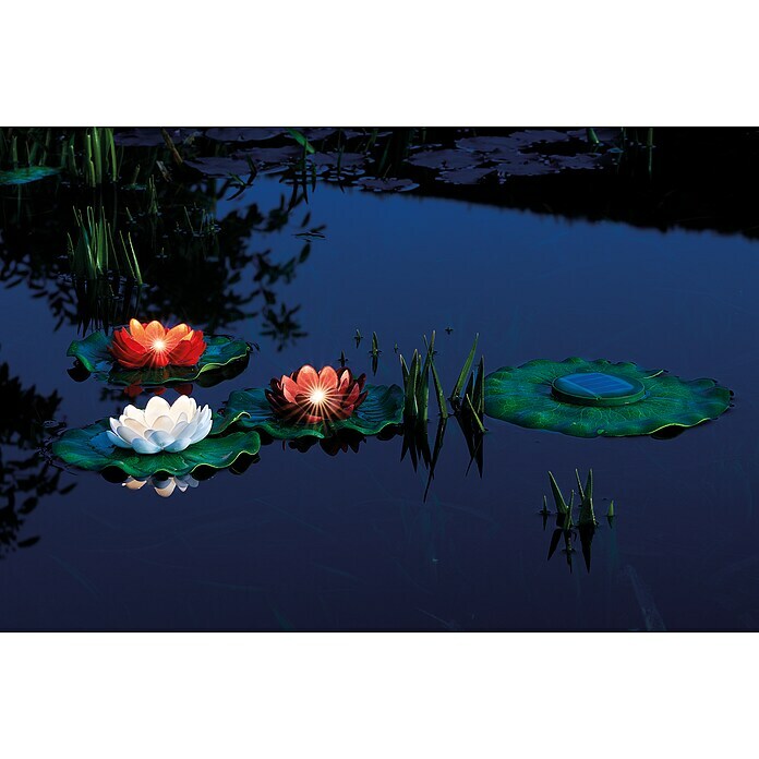 Pontec Teichbeleuchtung Pondosolar Lily LED Set 33 Stk., Solarbetrieben Mood Shot