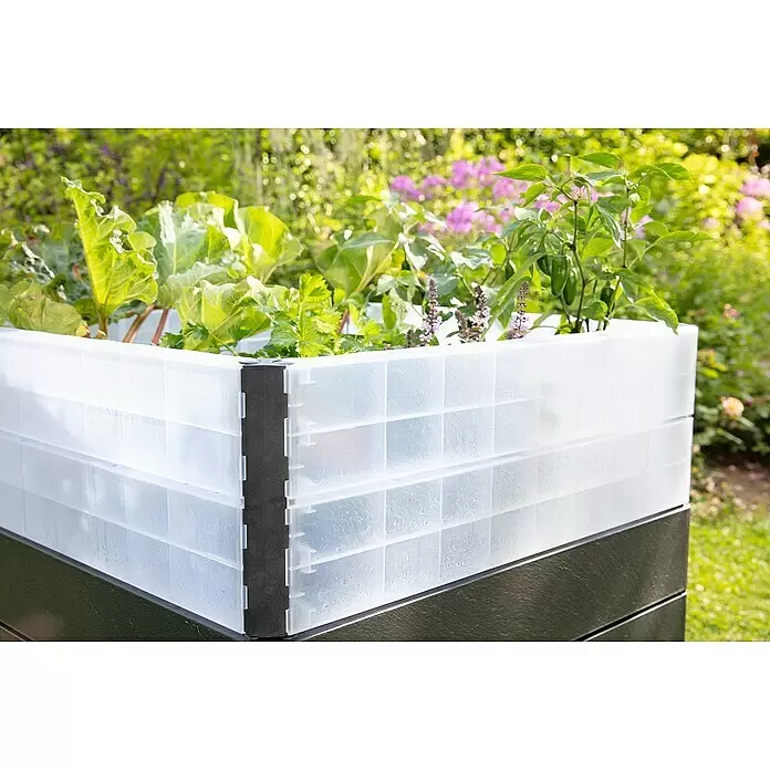 Garantia Hochbeet-Erweiterung Wachstumsmodul - 110 x 25 cm, Kunststoff, Farblos - Anwendungsbeispiel