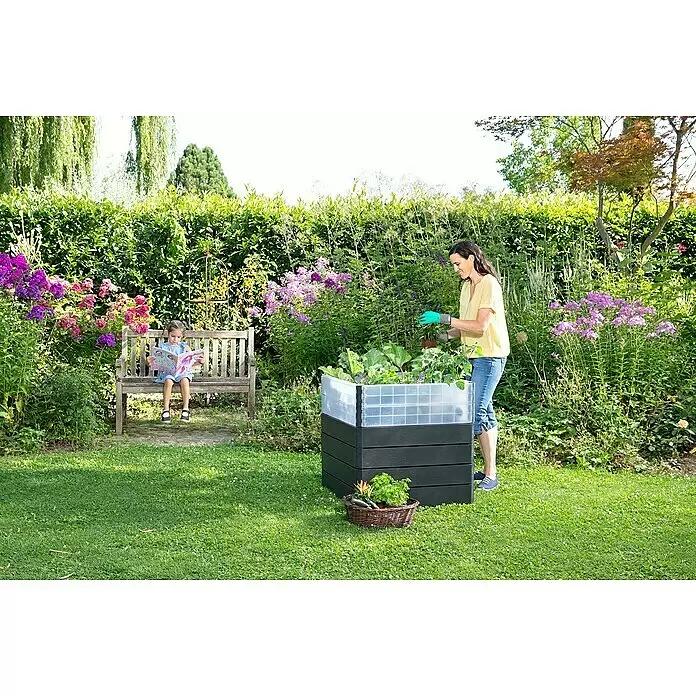 Garantia Hochbeet-Erweiterung Wachstumsmodul Ergo Quadro L - L x B x H: 80 x 80 x 25 cm, Kunststoff, Farblos - Anwendungsbeispiel