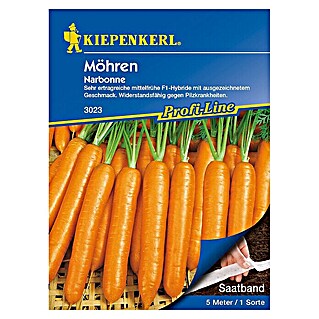Kiepenkerl Profi-Line Gemüsesamen Möhre (Narbonne - Saatband, Daucus carota ssp. sativus, Erntezeit: Juli)