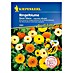 Kiepenkerl Profi-Line Blumensamen Ringelblume 