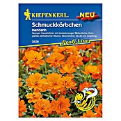 Kiepenkerl Profi-Line Blumensamen Schmuckkörbchen (Cosmos sulphureus, Mandarin, Blütezeit: Juni) | BAUHAUS