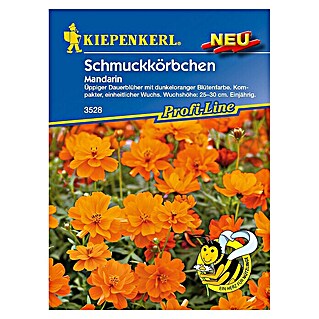 Kiepenkerl Profi-Line Blumensamen Schmuckkörbchen (Cosmos sulphureus, Mandarin, Blütezeit: Juni)