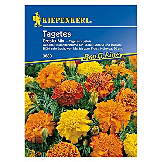 Kiepenkerl Profi-Line Blumensamen Studentenblume (Tagetes patula, Cresto Mix, Blütezeit: Mai)
