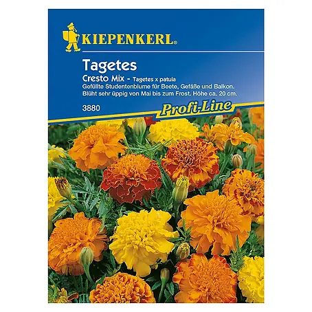 Kiepenkerl Profi-Line Blumensamen Studentenblume