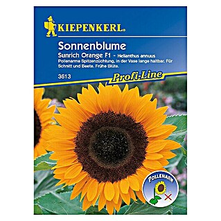 Kiepenkerl Profi-Line Blumensamen Sonnenblume (Helianthus annuus, Sunrich Orange, Blütezeit: Juli)