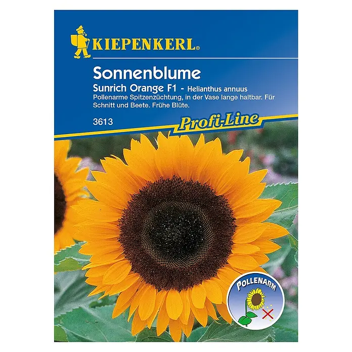 Kiepenkerl Profi-Line Blumensamen Sonnenblume - Helianthus annuus, Sunrich Orange, Blütezeit: Juli - Sonnenblumen-Samen der Sorte 'Sunrich Orange F1' von Kiepenkerl. Diese pollenarme Sorte ist ideal für Schnittblumen und Beetbepflanzung.