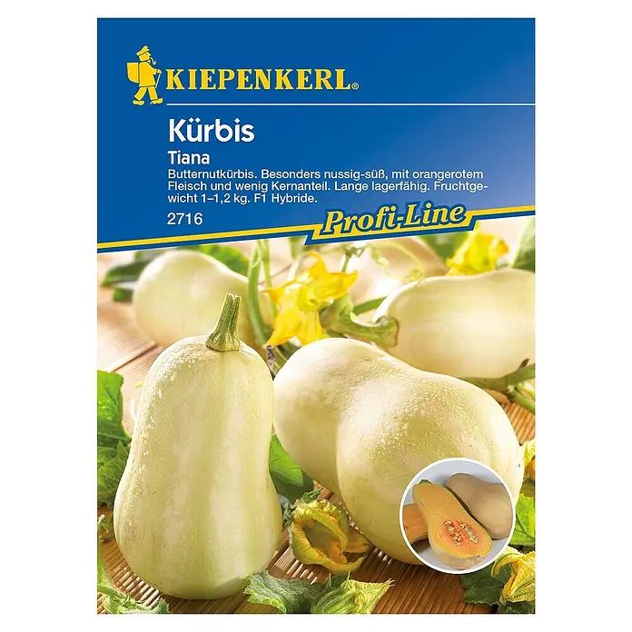 Kiepenkerl Profi-Line Gemüsesamen Kürbis - Tiana, Cucurbita moschata, Erntezeit: September - Das Bild zeigt die Samenpackung des "Tiana"-Butternusskürbis von Kiepenkerl, eine Profi-Line Sorte mit nussig-süßem Geschmack und wenig Kernen.