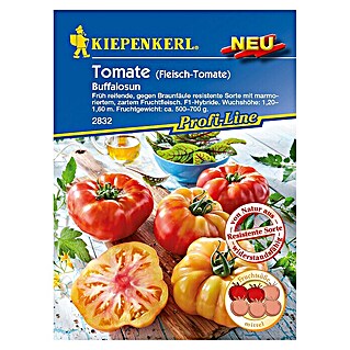 Kiepenkerl Profi-Line Gemüsesamen Tomate (Buffalosun, Solanum lycopersicum, Erntezeit: Juli)