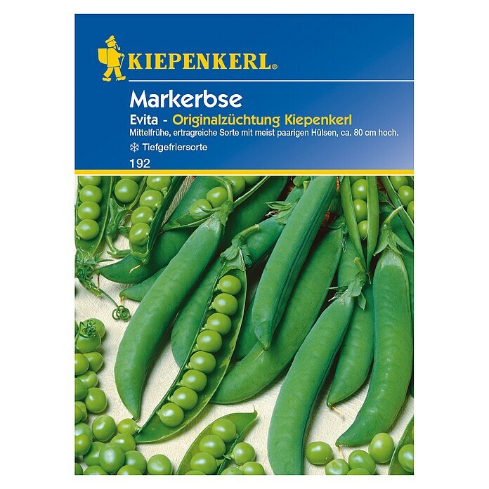 Kiepenkerl Profi-Line Gemüsesamen Markerbse (Evita, Pisum sativum, Erntezeit: Juni)