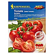 Kiepenkerl Profi-Line Gemüsesamen Tomate (Rondino, Solanum lycopersicum, Erntezeit: Juli) | BAUHAUS