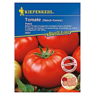 Kiepenkerl Profi-Line Gemüsesamen Tomate (Pyros, Solanum lycopersicum, Erntezeit: Juli)
