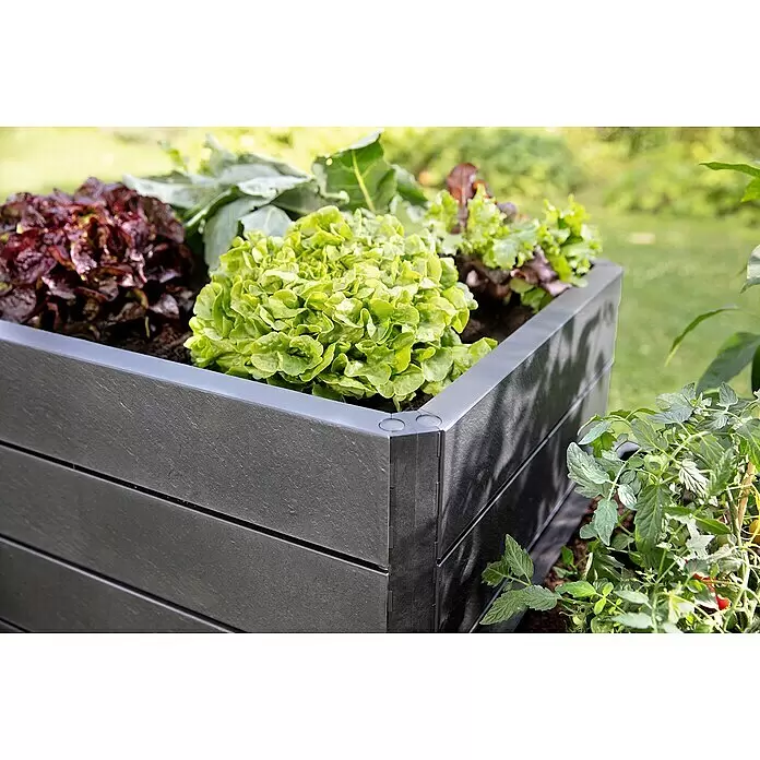 Garantia Hochbeet Ergo Quadro L Stone - Set80 x 80 x 75 cm, Kunststoff, Anthrazit