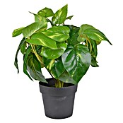 Planta artificial Hiedra (Altura: 23 cm, Verde, Plástico) | BAUHAUS