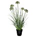 Planta artificial Gramineas 