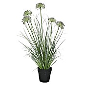 Planta artificial Gramineas (Altura: 74 cm, Verde, Plástico) | BAUHAUS