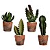 Planta artificial Cactus 