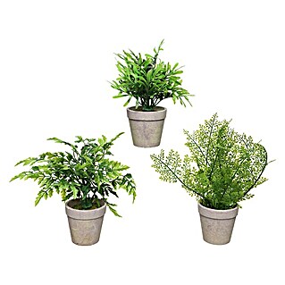 Planta artificial (Altura: 19 cm, Verde, Plástico)
